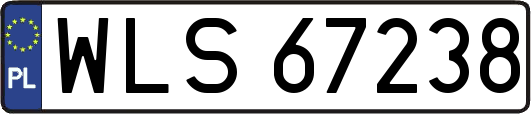 WLS67238