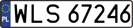 WLS67246