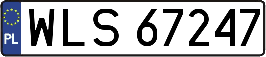 WLS67247