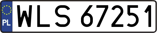 WLS67251
