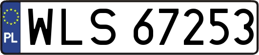WLS67253