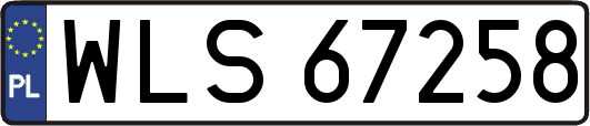 WLS67258