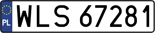 WLS67281