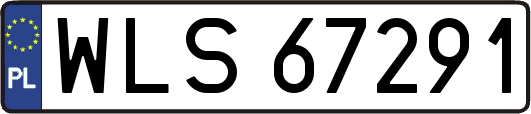 WLS67291
