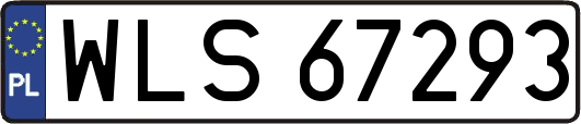 WLS67293