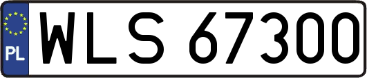 WLS67300