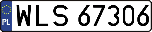WLS67306