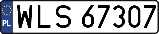 WLS67307