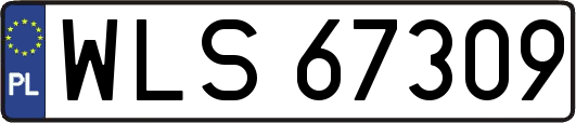 WLS67309