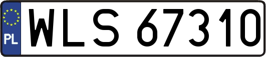 WLS67310