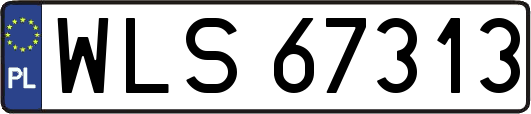 WLS67313