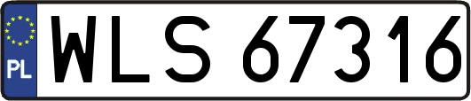 WLS67316