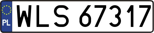 WLS67317