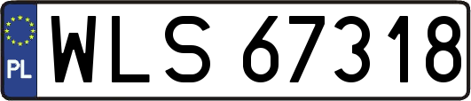 WLS67318