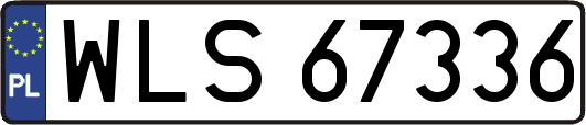WLS67336