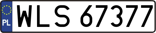 WLS67377