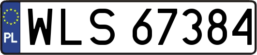 WLS67384