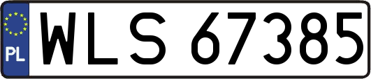 WLS67385