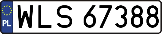 WLS67388