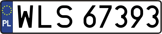 WLS67393