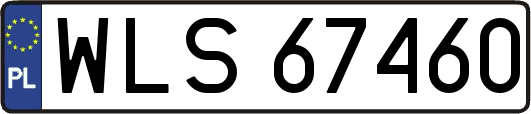 WLS67460