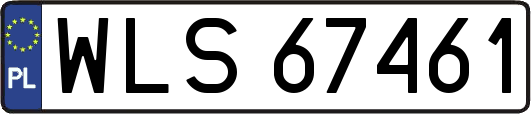 WLS67461