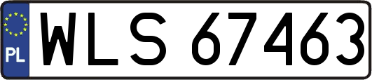 WLS67463