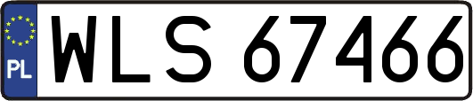 WLS67466