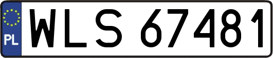 WLS67481