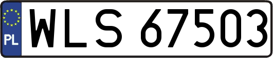 WLS67503