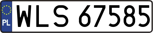 WLS67585