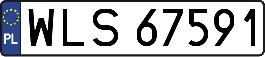 WLS67591