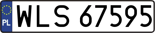 WLS67595