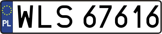 WLS67616
