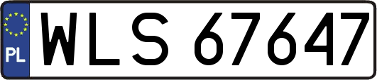 WLS67647