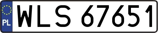 WLS67651