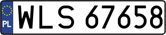 WLS67658