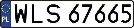 WLS67665