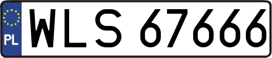 WLS67666
