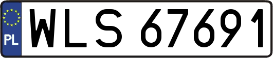 WLS67691