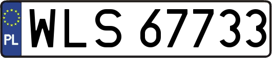 WLS67733