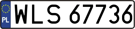 WLS67736