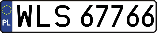 WLS67766