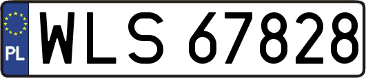 WLS67828