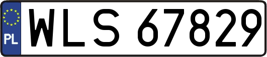 WLS67829