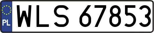 WLS67853