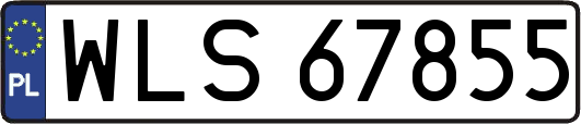 WLS67855