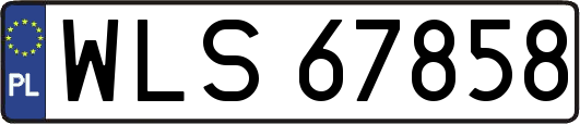 WLS67858