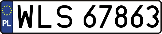 WLS67863