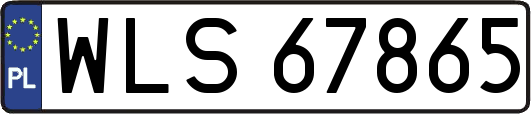 WLS67865